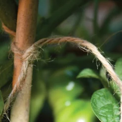 Tildenet Growers Choice Natural Jute Garden Twine - 110m -Garden Tool Shop 12813055 2055039995008351