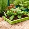 Seed Trays (Pack Of 4) 1 Seed Trays (Pack Of 4) -Garden Tool Shop 12813215 1605037974365701