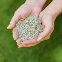 Westland Safe Lawn Natural Lawn Feed - 150m² -Garden Tool Shop 12814336 1595061828066483