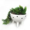 Trailing Plant In White Pot With Legs -Garden Tool Shop 12833718 6054831603897446