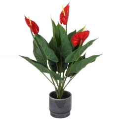 Artificial Anthurium In Ceramic Pot