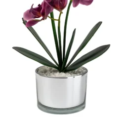 Orchid With Silver Glass Pot - Purple -Garden Tool Shop 12879285 1054864281948609