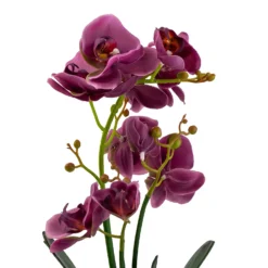 Orchid With Silver Glass Pot - Purple -Garden Tool Shop 12879285 2084864281975504