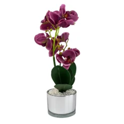 Orchid With Silver Glass Pot - Purple -Garden Tool Shop 12879285 4804864281923592
