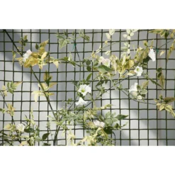 General Purpose Garden Mesh -Garden Tool Shop 12885593 2134856729627259