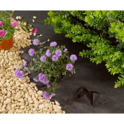 Smart Garden Weed Control Fabric - 50 X 1m -Garden Tool Shop 12885615 1774856731893912