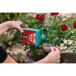 Westland Rose Specialist Liquid Plant Food Concentrate - 1l -Garden Tool Shop 12886481 7044936610878716