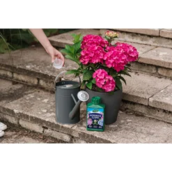 Westland Hydrangea Feed - 1l -Garden Tool Shop 12886486 1744971590629542