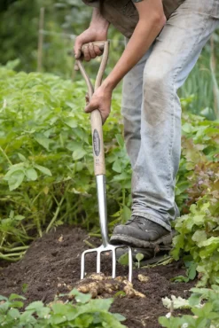 Spear & Jackson Traditional Stainless Digging Fork 15 Spear & Jackson Traditional Stainless Digging Fork -Garden Tool Shop 12904675 1274851072244143