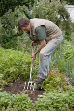 Spear & Jackson Traditional Stainless Digging Fork 14 Spear & Jackson Traditional Stainless Digging Fork -Garden Tool Shop 12904675 2754851072222033
