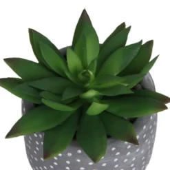 Small Succulent - Grey 11 Small Succulent - Grey -Garden Tool Shop 12909500 1734869235660464