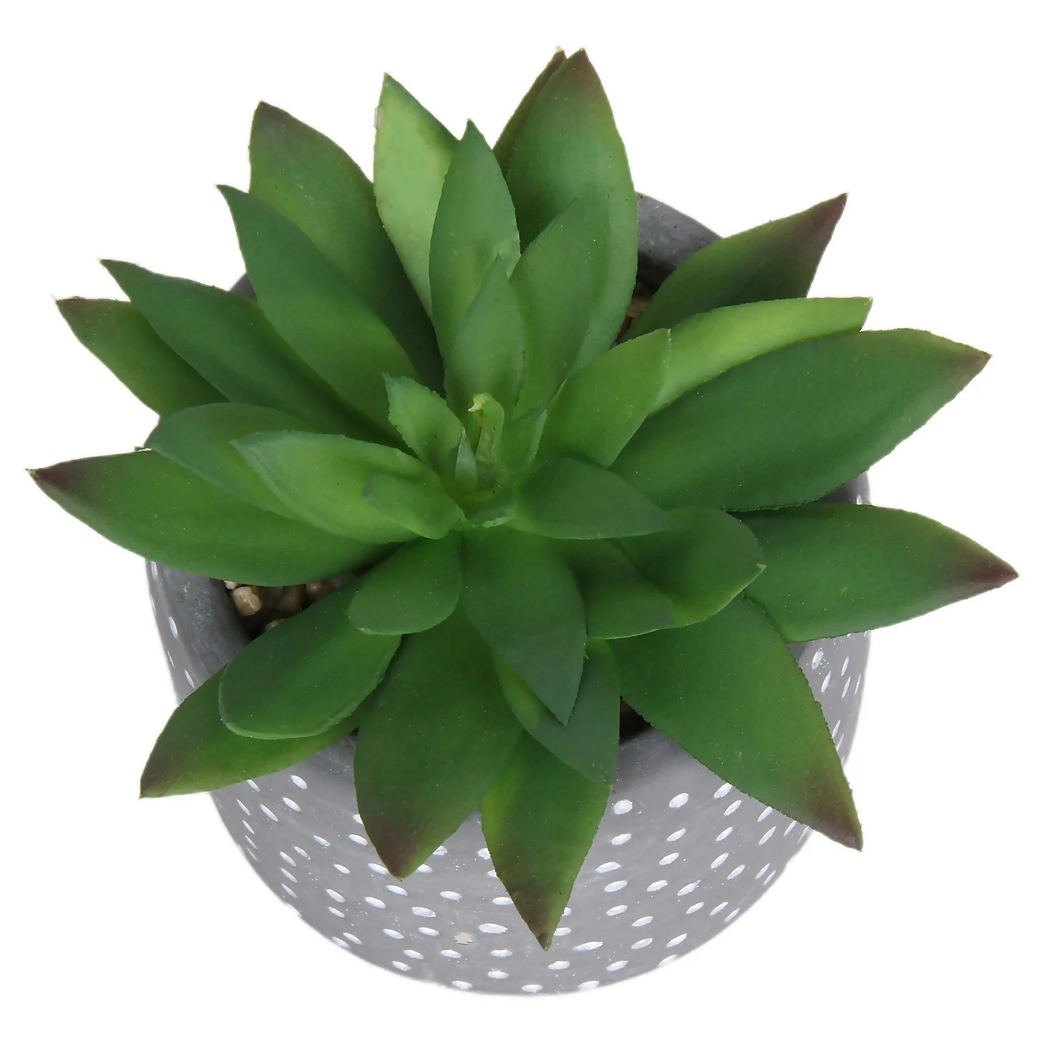 Small Succulent - Grey 4 Small Succulent - Grey - Image 2