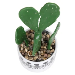 Cactus In Abstract Pot -Garden Tool Shop 12909502 1064869235554777