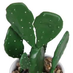 Cactus In Abstract Pot -Garden Tool Shop 12909502 1344869235594629