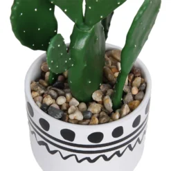 Cactus In Abstract Pot -Garden Tool Shop 12909502 2094869235640256