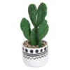 Cactus In Abstract Pot -Garden Tool Shop 12909502 7774869235493475
