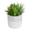 Mixed Succulent In Grey Pot -Garden Tool Shop 12909503 7774869235513008
