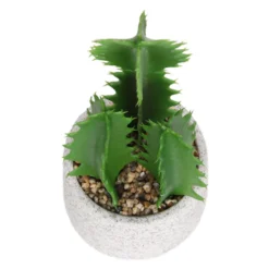 Cactus In Textured Pot -Garden Tool Shop 12909506 2804869235539384