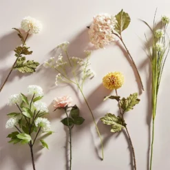 Viburnum - White -Garden Tool Shop 12913557 1114866647515368