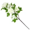 Viburnum - White -Garden Tool Shop 12913557 8544866647480637