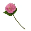 Chrysanthemum - Pink 2 Chrysanthemum - Pink -Garden Tool Shop 12913572 3884845852146043