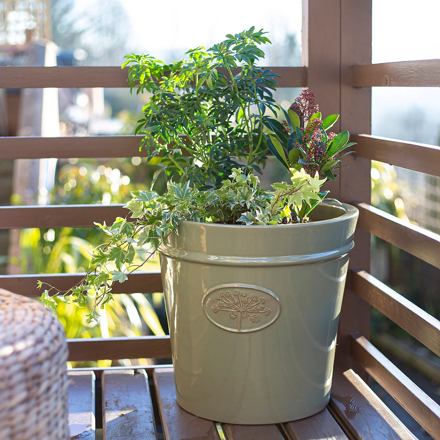 Country Living Heritage Sage Cone Pot - 27cm 4 Country Living Heritage Sage Cone Pot - 27cm - Image 2