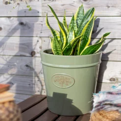 Country Living Heritage Sage Cone Pot - 27cm 13 Country Living Heritage Sage Cone Pot - 27cm -Garden Tool Shop 13188759 7524933183217370