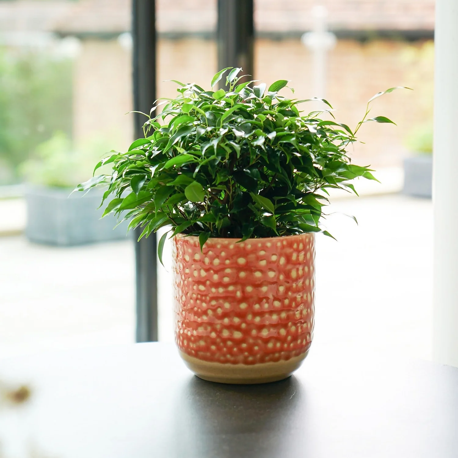 House Beautiful Titian Glaze Planter 13cm 4 House Beautiful Titian Glaze Planter 13cm - Image 2