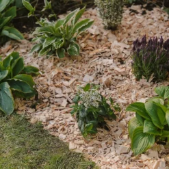 Westland Rustic Wood Chips - 60L -Garden Tool Shop 13280769 1564929084866478