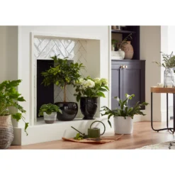 Perla White Plant Pot - 18cm -Garden Tool Shop 13432918 8224948242882018