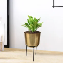 Brass Indoor Plant Pot With Straight Stand - 14cm -Garden Tool Shop 13887189 1004999809742584