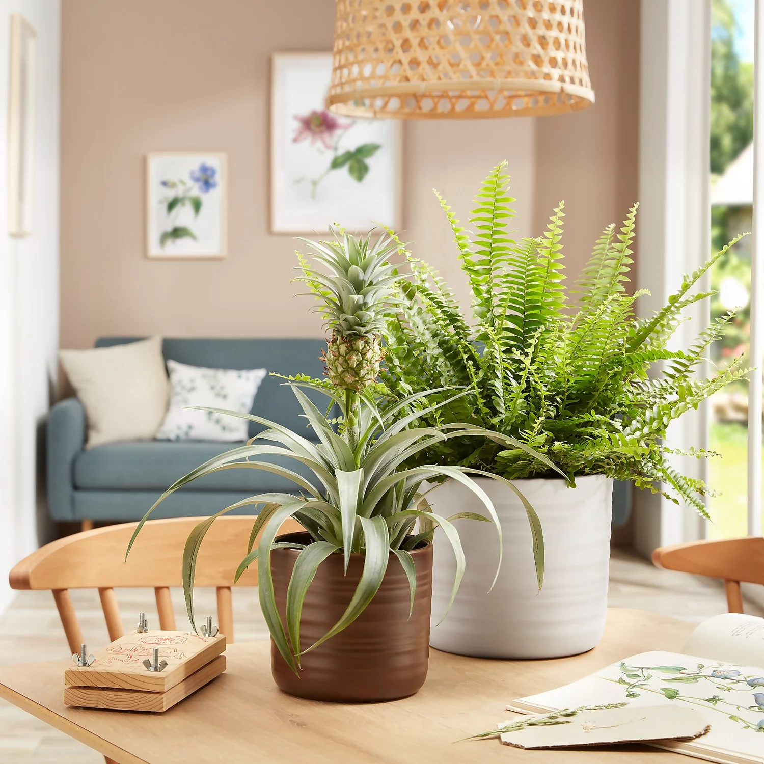 Scheurich Ripple Brown Indoor Pot - 20cm 4 Scheurich Ripple Brown Indoor Pot - 20cm - Image 2