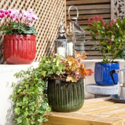 Chiswick Running Pot Blue - 24cm -Garden Tool Shop 13973640 1635011238706765