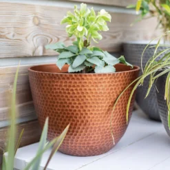 Suva Hammered Pot Copper - 31cm -Garden Tool Shop 13973652 1715011805989134