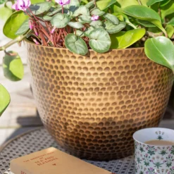 Suva Hammered Pot Bronze - 31cm 11 Suva Hammered Pot Bronze - 31cm -Garden Tool Shop 13973654 7605011805627355