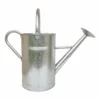 Galvanized Watering Can - 9L -Garden Tool Shop 13976731 1484993048165425