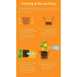 Westland Citrus Potting Mix Peat Free 8L -Garden Tool Shop 14013785 1645003754507372