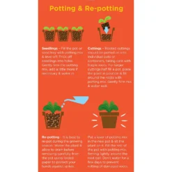 Westland Cacti & Succulent Potting Mix Peat Free 4L -Garden Tool Shop 14013786 1245003754031248