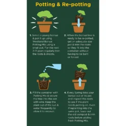 Westland Bonsai Potting Mix Peat Free 4L -Garden Tool Shop 14013787 2185003754340767